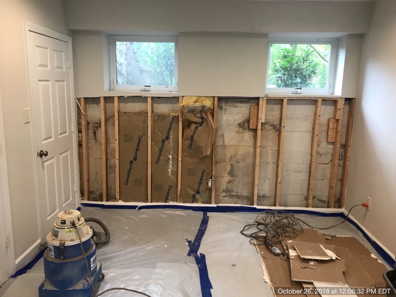 What kills mold after a flood?